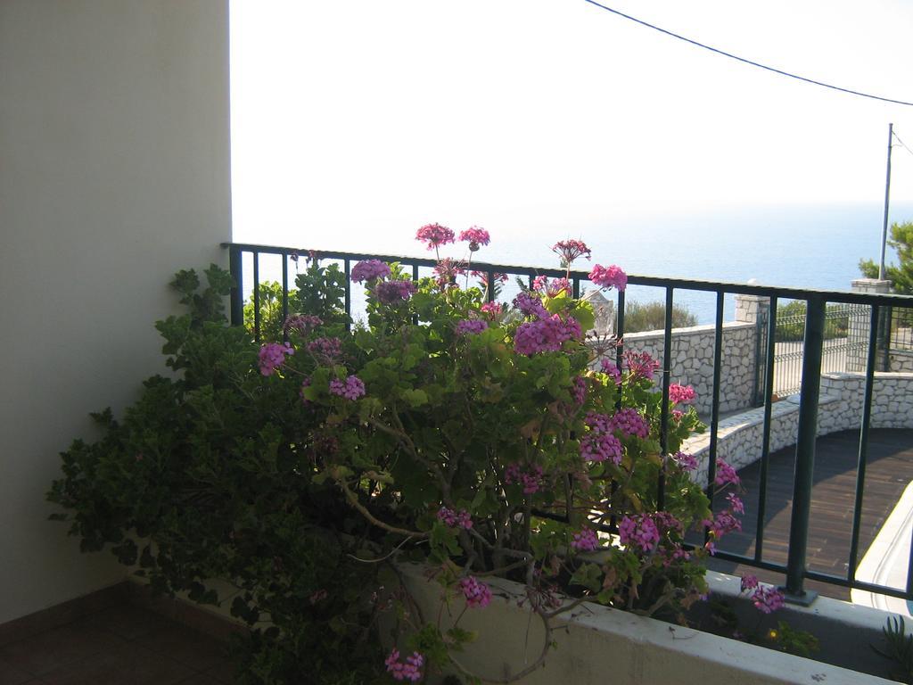 Villa Milia Ayios Nikitas Luaran gambar